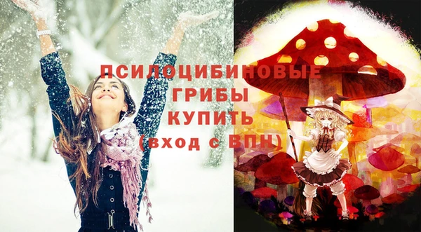 молекула духа Гусь-Хрустальный