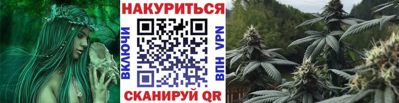 Купить где  Болгар  МАРИХУАНА планчик 